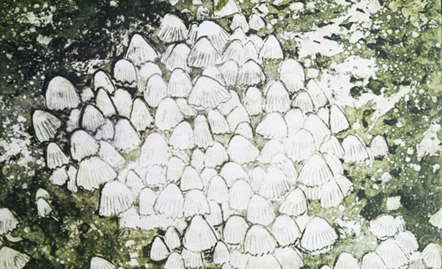 fungus